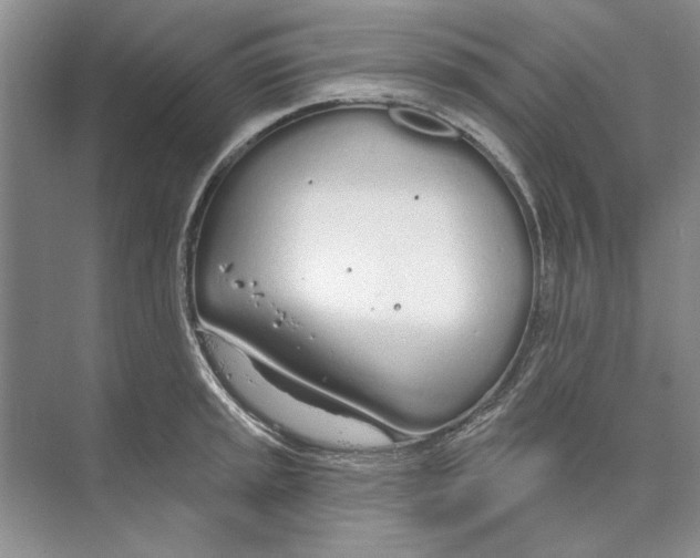 X0000074321045200609230021