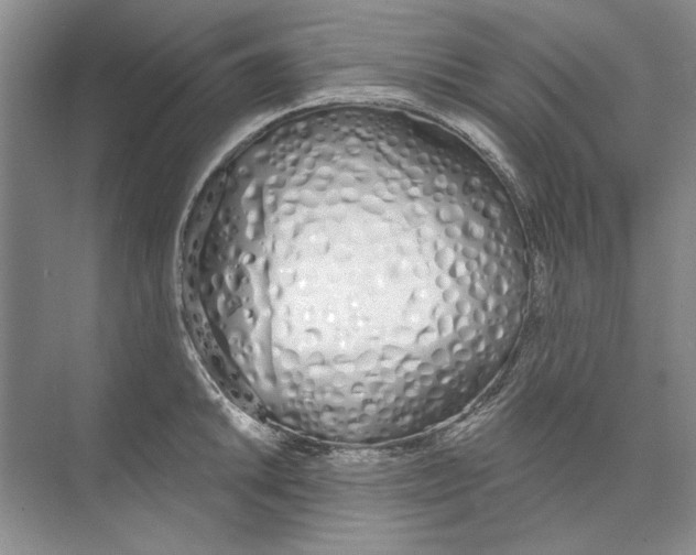 X0000074321046200609230021