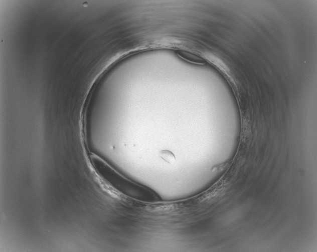 X0000074321047200609230021