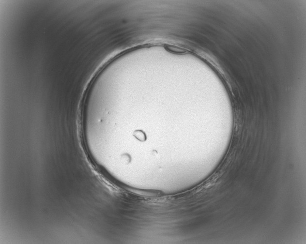 X0000074321048200609230021