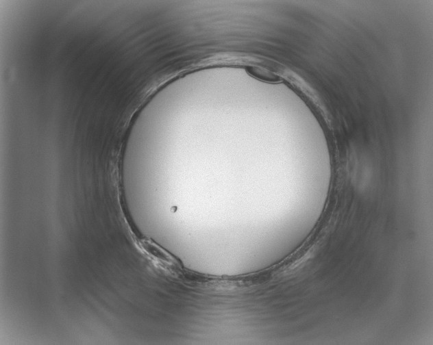 X0000074321049200609230021