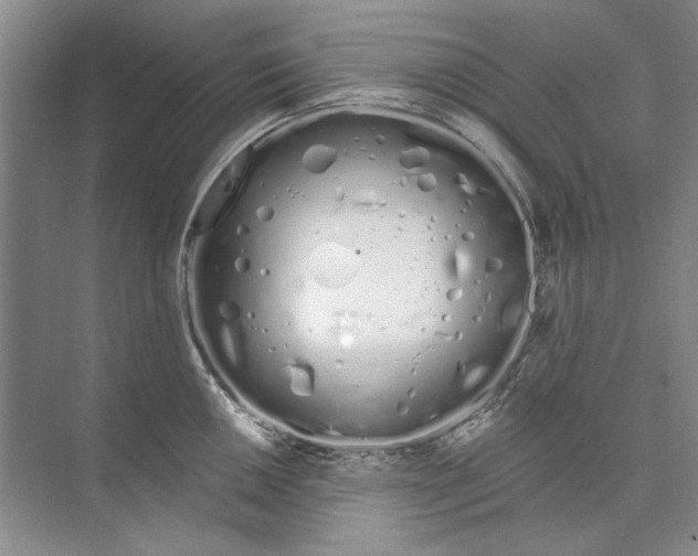 X0000074321050200609230021