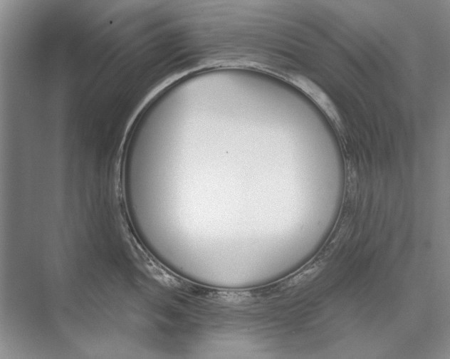 X0000074321052200609230021