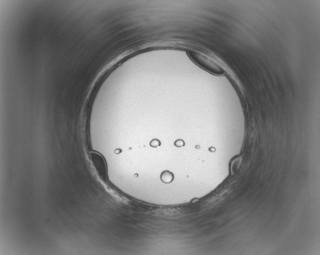 X0000074321053200609230021