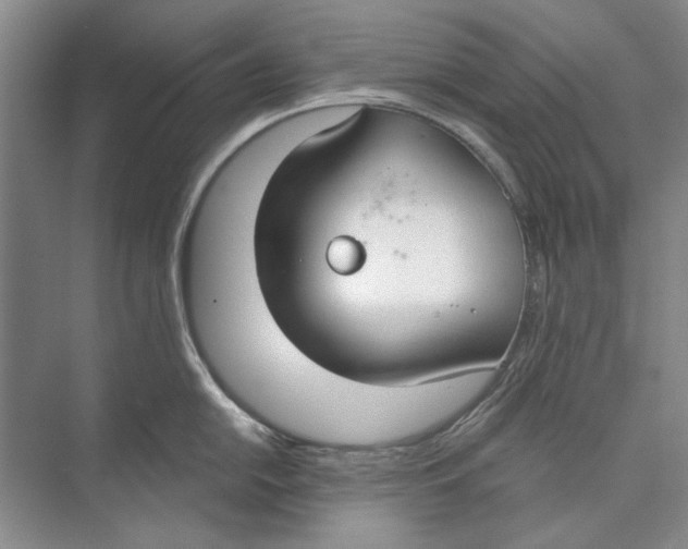 X0000074321054200609230021