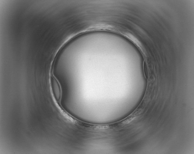 X0000074321055200609230021