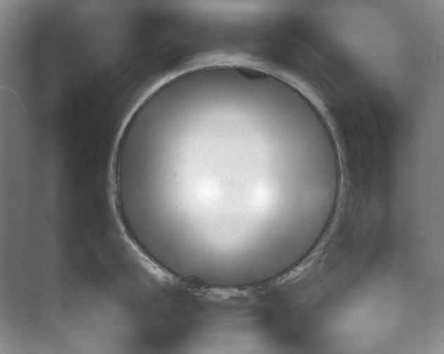 X0000074321056200609230021