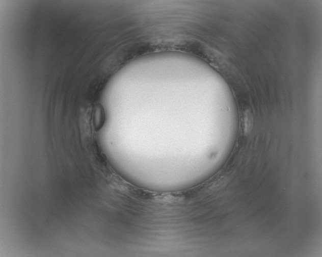 X0000074321059200609230021