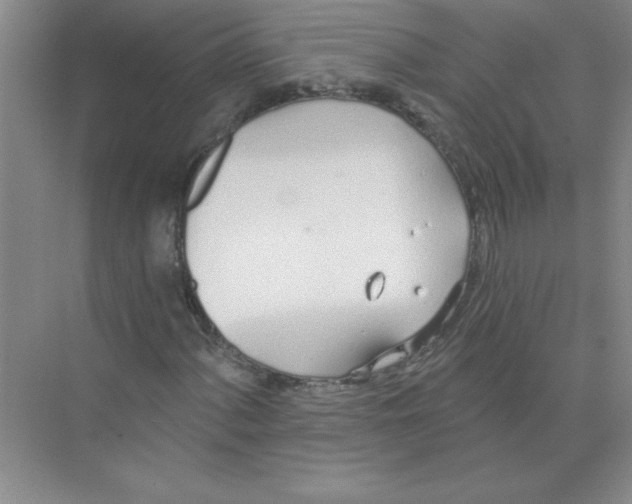 X0000074321060200609230021