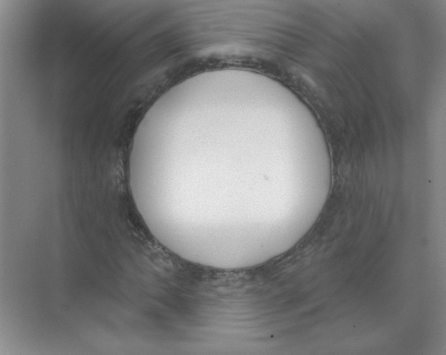 X0000074321062200609230021