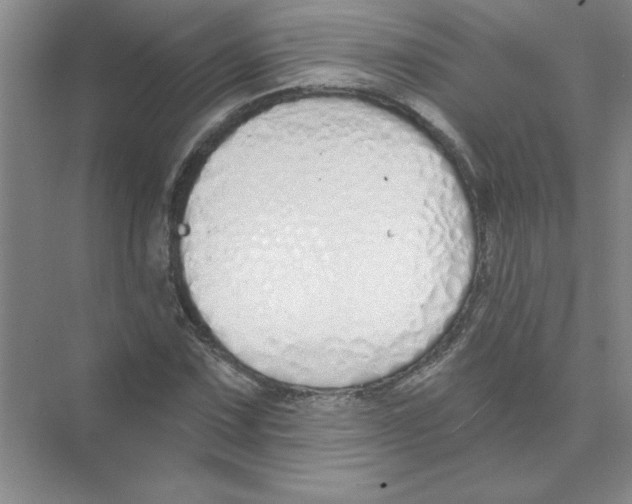 X0000074321067200609230020