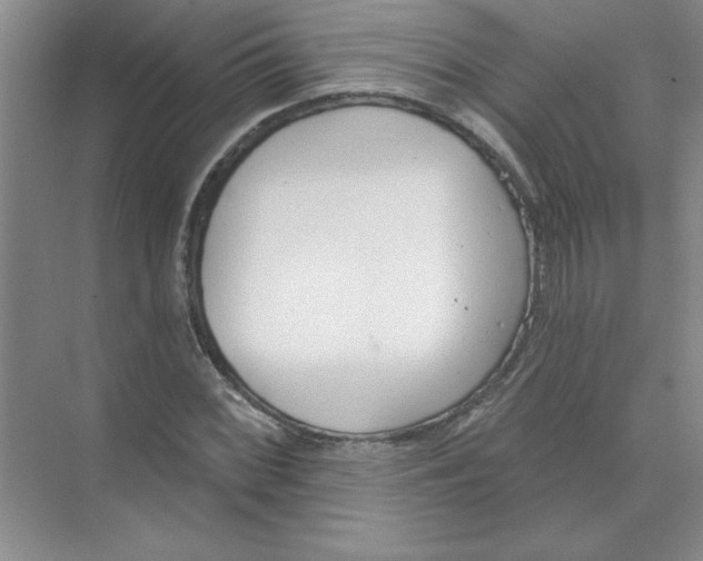 X0000074321068200609230020