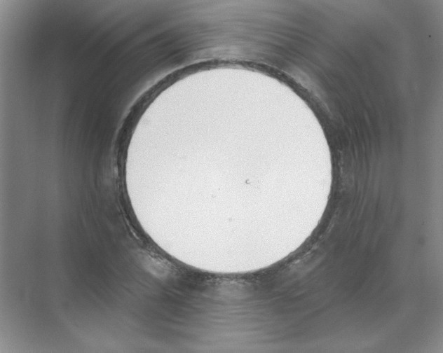 X0000074321070200609230020