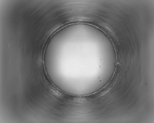 X0000074321073200609230020