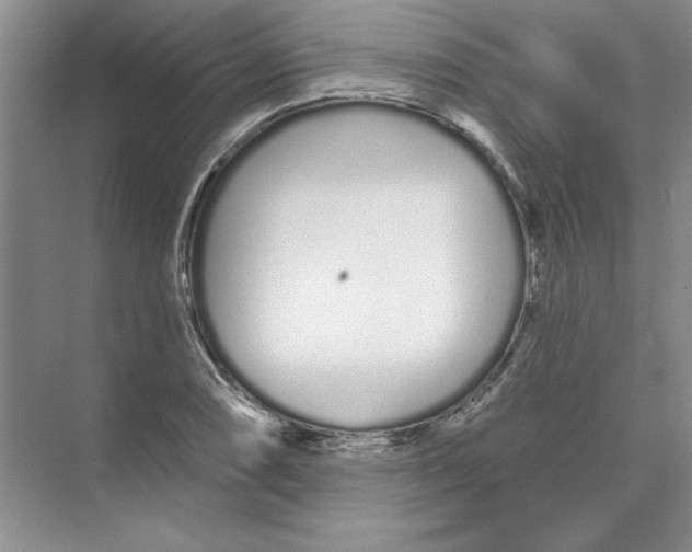 X0000074321074200609230020