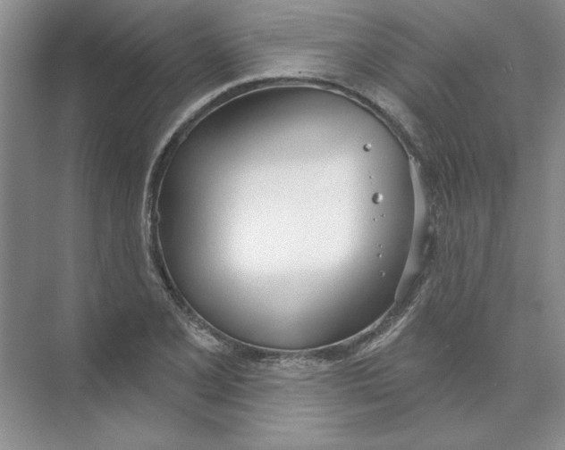 X0000074321077200609230020