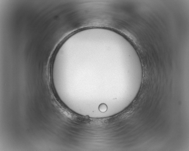 X0000074321078200609230020