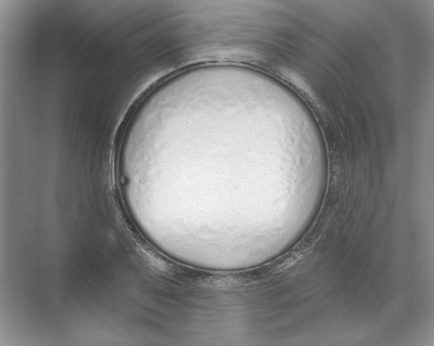 X0000074321079200609230020