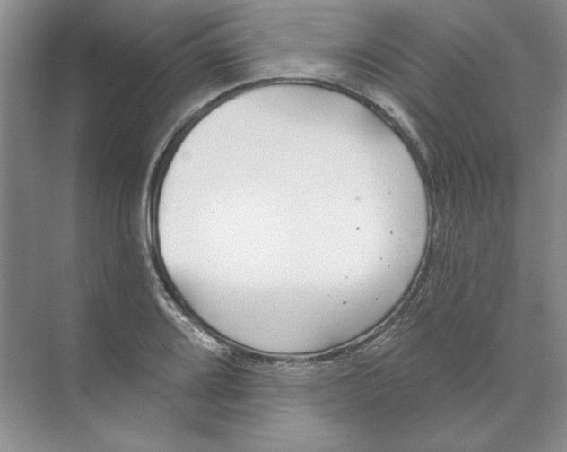 X0000074321080200609230020