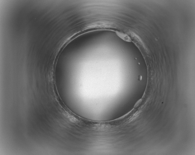 X0000074321081200609230020