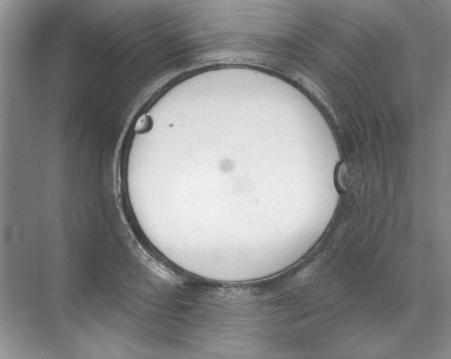 X0000074321082200609230020