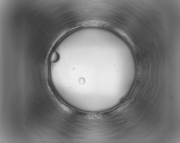 X0000074321083200609230020