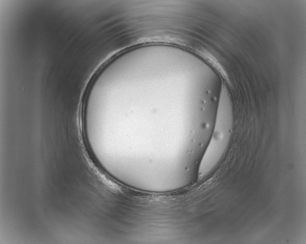 X0000074321084200609230020