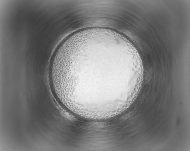 X0000074321086200609230020