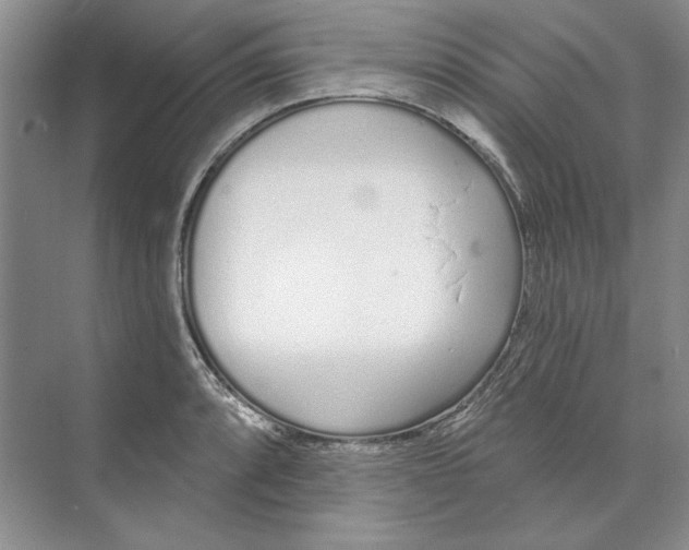 X0000074321088200609230020