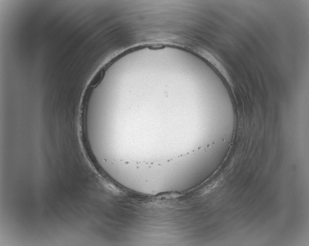 X0000074321093200609230020