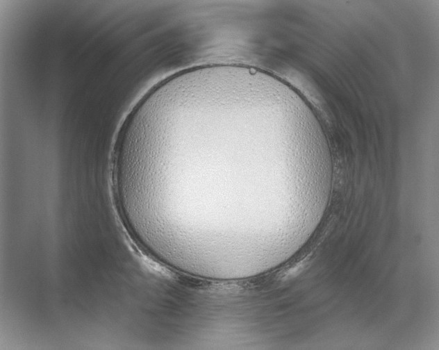 X0000074321094200609230020