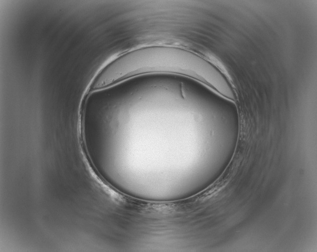 X0000074321095200609230020