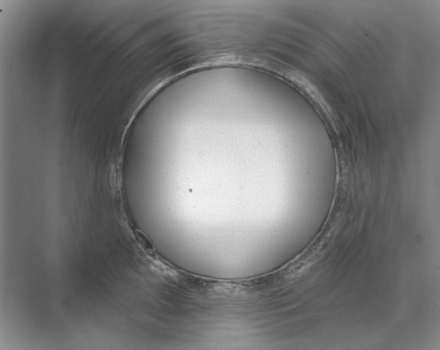 X0000074321097200609230020