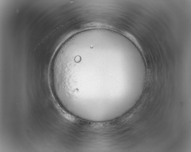 X0000074321098200609230020