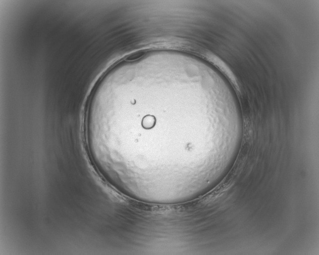 X0000074321099200609230020