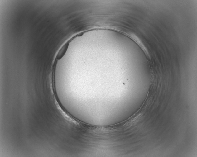 X0000074321100200609230020