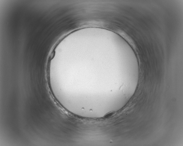 X0000074321104200609230020