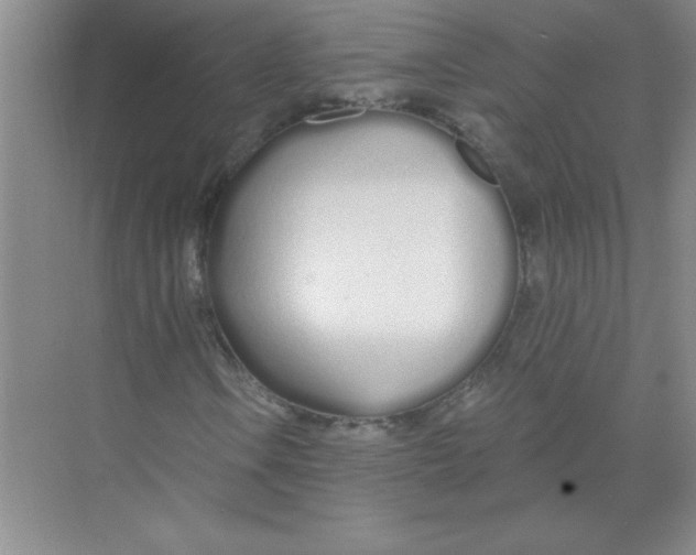 X0000074321106200609230019