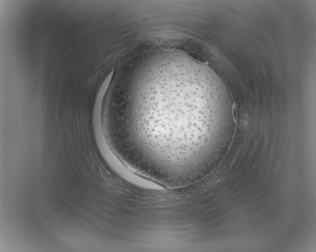 X0000074321108200609230019