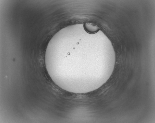 X0000074321109200609230019