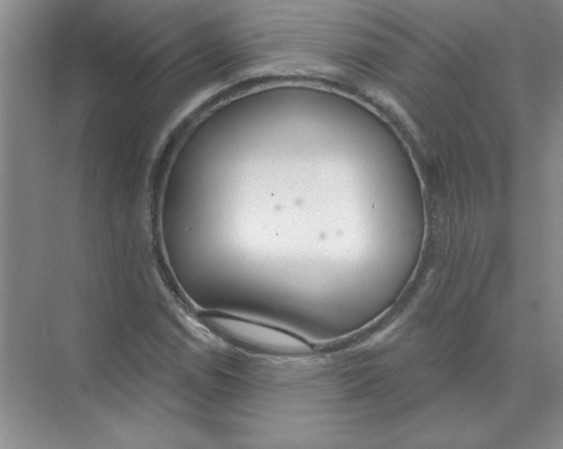 X0000074321114200609230019