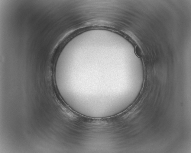 X0000074321115200609230019