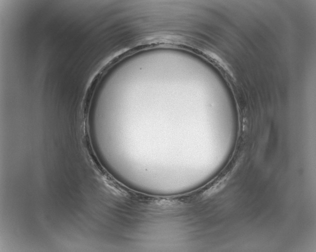 X0000074321117200609230019