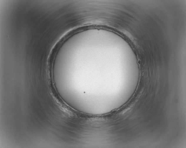 X0000074321118200609230019