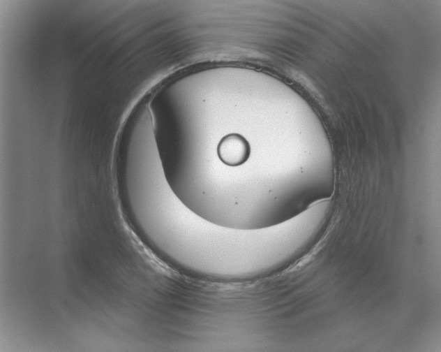 X0000074321122200609230019