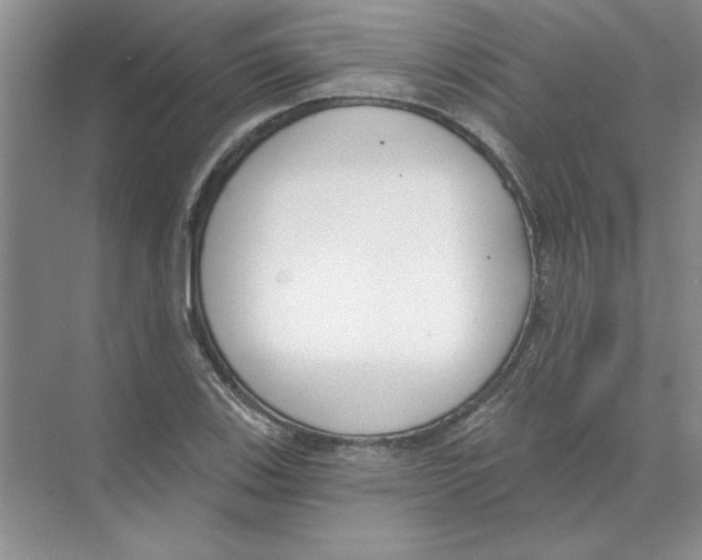 X0000074321123200609230019