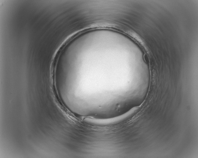 X0000074321124200609230019