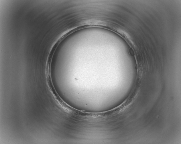 X0000074321125200609230019