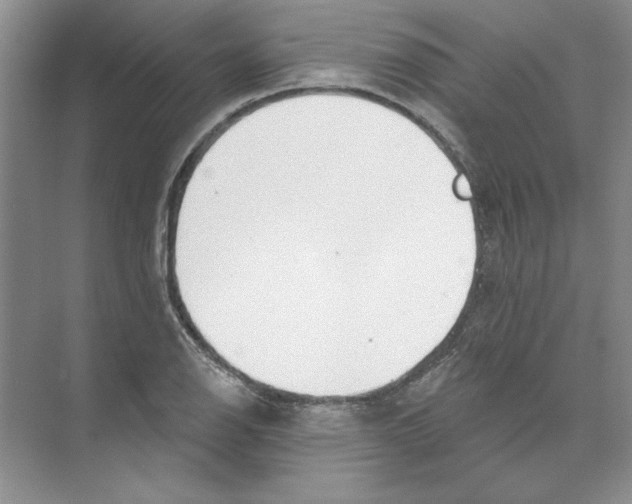 X0000074321126200609230019