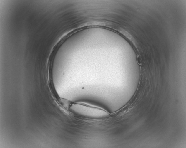 X0000074321127200609230019